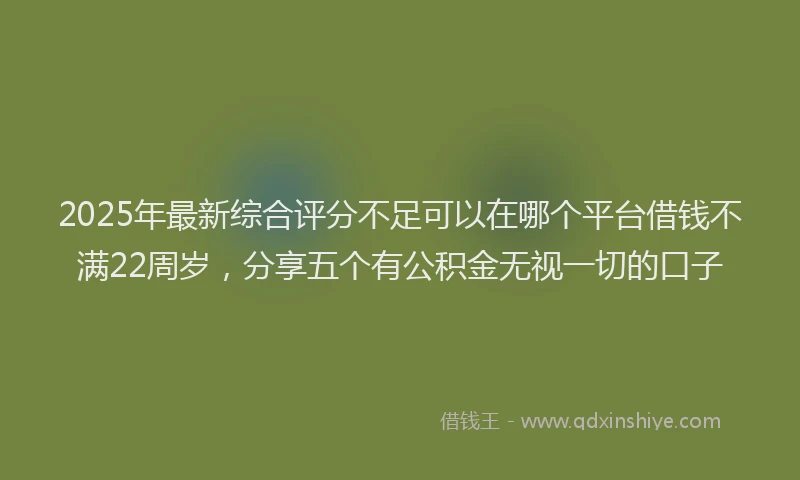 2025年最新综合评分不足可以在哪个平台借钱不满22周岁，分享五个有公积金无视一切的口子