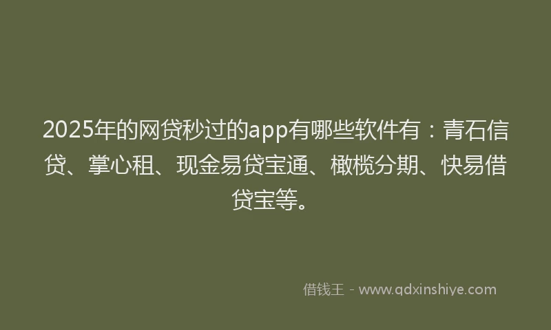 2025年的网贷秒过的app有哪些软件有：青石信贷、掌心租、现金易贷宝通、橄榄分期、快易借贷宝等。