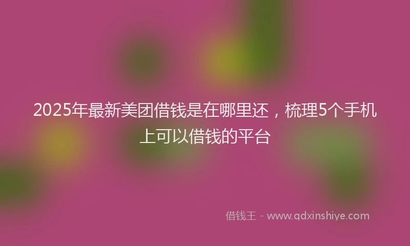 2025年最新美团借钱是在哪里还，梳理5个手机上可以借钱的平台