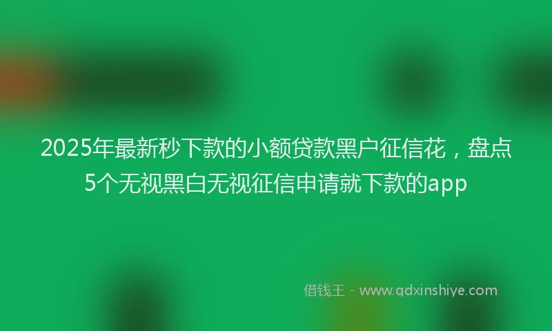 2025年最新秒下款的小额贷款黑户征信花，盘点5个无视黑白无视征信申请就下款的app