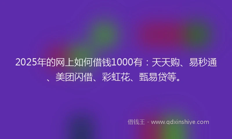 2025年的网上如何借钱1000有：天天购、易秒通、美团闪借、彩虹花、甄易贷等。
