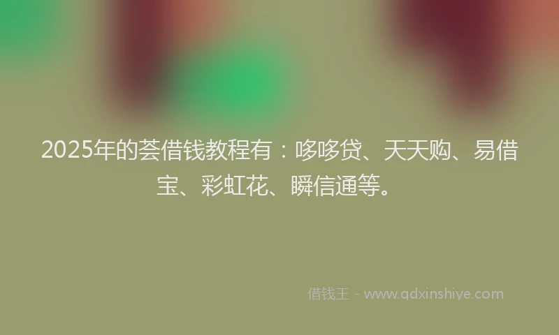 2025年的荟借钱教程有：哆哆贷、天天购、易借宝、彩虹花、瞬信通等。