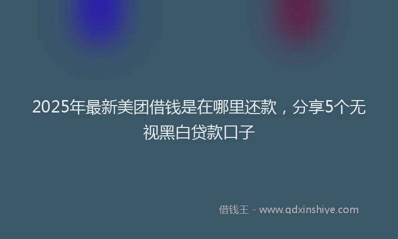 2025年最新美团借钱是在哪里还款，分享5个无视黑白贷款口子