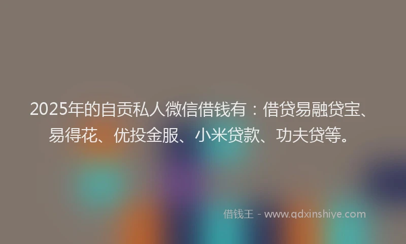2025年的自贡私人微信借钱有：借贷易融贷宝、易得花、优投金服、小米贷款、功夫贷等。