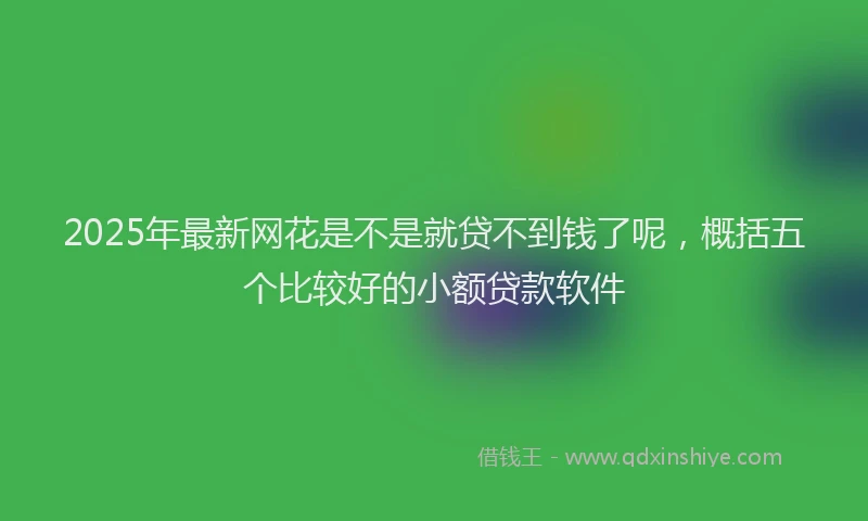 2025年最新网花是不是就贷不到钱了呢，概括五个比较好的小额贷款软件