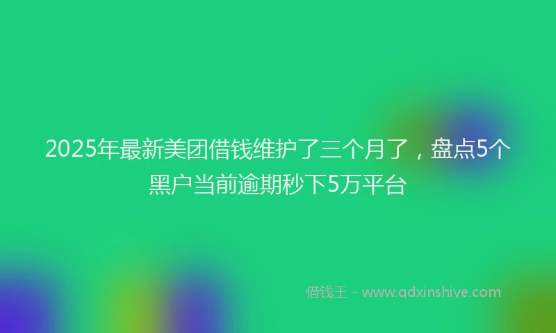 2025年最新美团借钱维护了三个月了，盘点5个黑户当前逾期秒下5万平台