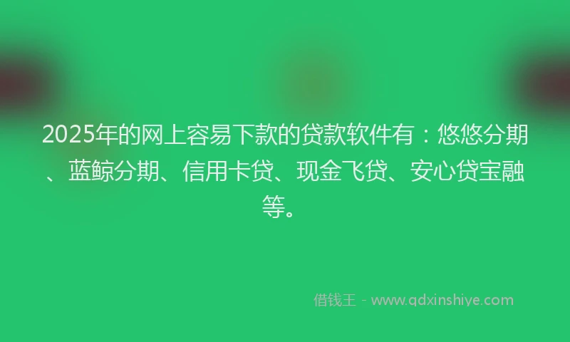 2025年的网上容易下款的贷款软件有：悠悠分期、蓝鲸分期、信用卡贷、现金飞贷、安心贷宝融等。