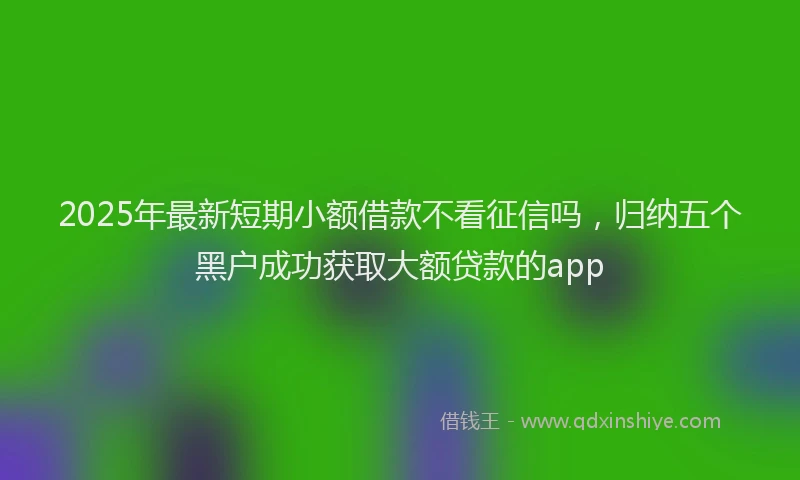2025年最新短期小额借款不看征信吗，归纳五个黑户成功获取大额贷款的app