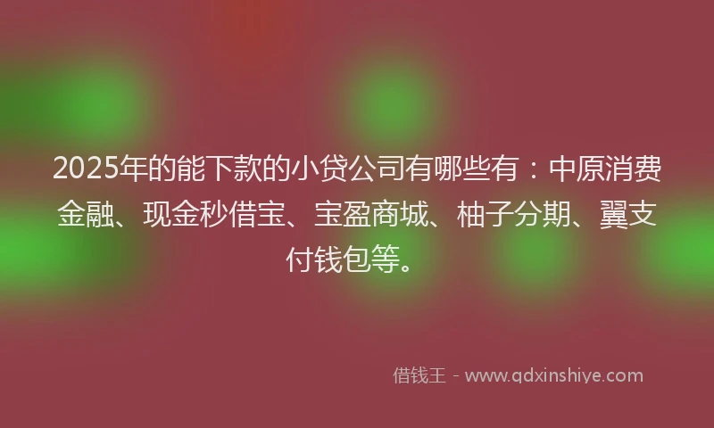 2025年的能下款的小贷公司有哪些有：中原消费金融、现金秒借宝、宝盈商城、柚子分期、翼支付钱包等。