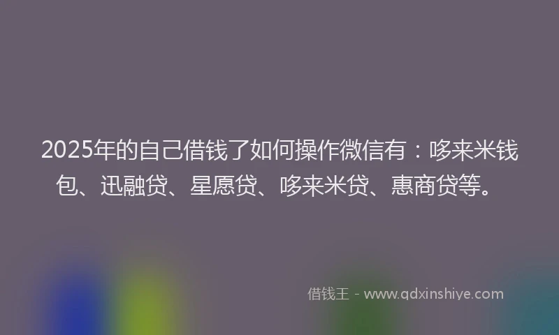 2025年的自己借钱了如何操作微信有：哆来米钱包、迅融贷、星愿贷、哆来米贷、惠商贷等。
