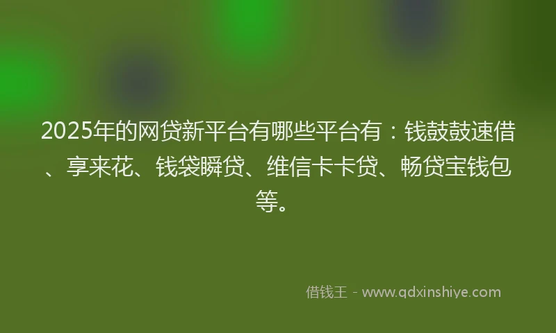 2025年的网贷新平台有哪些平台有：钱鼓鼓速借、享来花、钱袋瞬贷、维信卡卡贷、畅贷宝钱包等。
