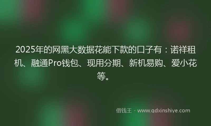 2025年的网黑大数据花能下款的口子有：诺祥租机、融通Pro钱包、现用分期、新机易购、爱小花等。