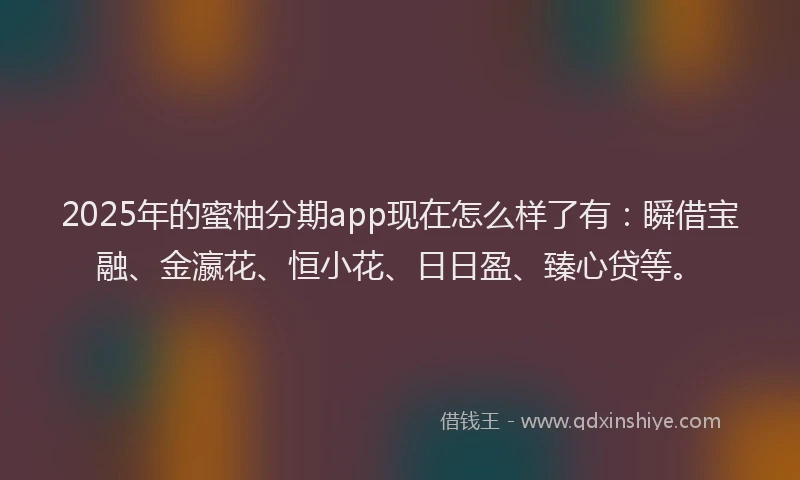 2025年的蜜柚分期app现在怎么样了有：瞬借宝融、金瀛花、恒小花、日日盈、臻心贷等。