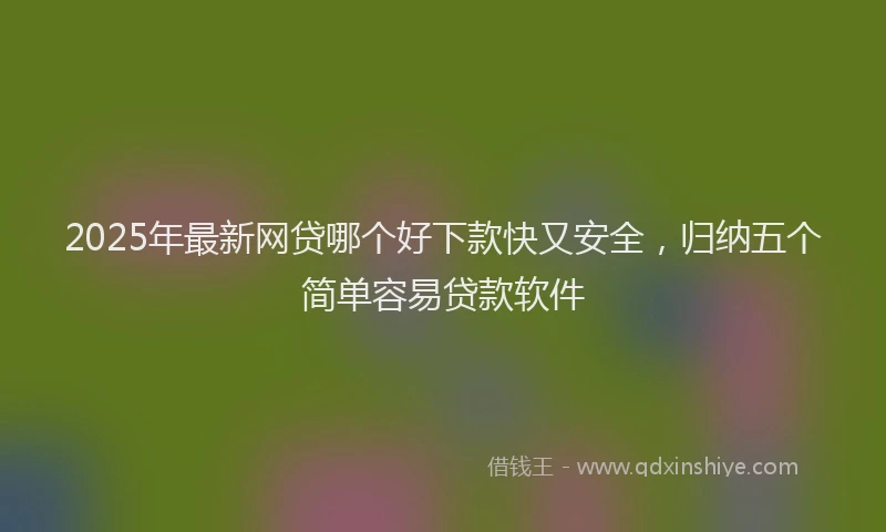 2025年最新网贷哪个好下款快又安全，归纳五个简单容易贷款软件