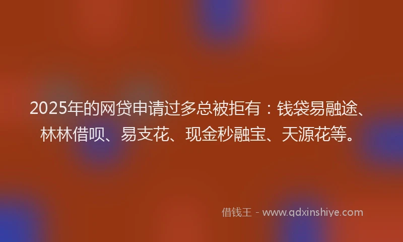 2025年的网贷申请过多总被拒有：钱袋易融途、林林借呗、易支花、现金秒融宝、天源花等。