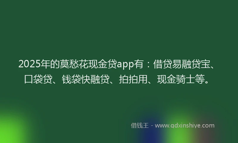 2025年的莫愁花现金贷app有：借贷易融贷宝、口袋贷、钱袋快融贷、拍拍用、现金骑士等。
