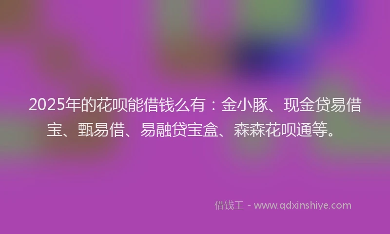 2025年的花呗能借钱么有：金小豚、现金贷易借宝、甄易借、易融贷宝盒、森森花呗通等。