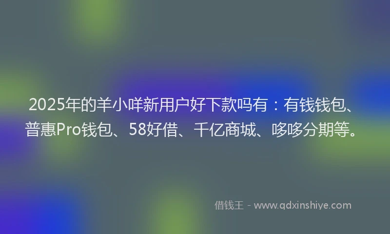 2025年的羊小咩新用户好下款吗有：有钱钱包、普惠Pro钱包、58好借、千亿商城、哆哆分期等。