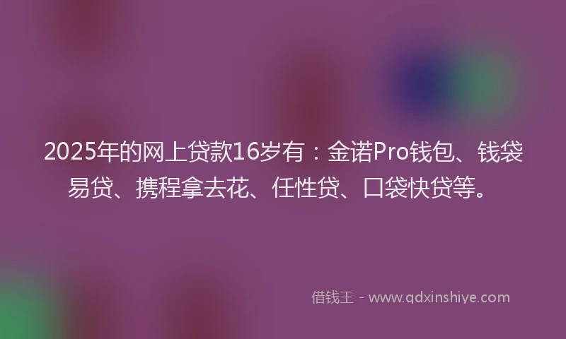 2025年的网上贷款16岁有：金诺Pro钱包、钱袋易贷、携程拿去花、任性贷、口袋快贷等。