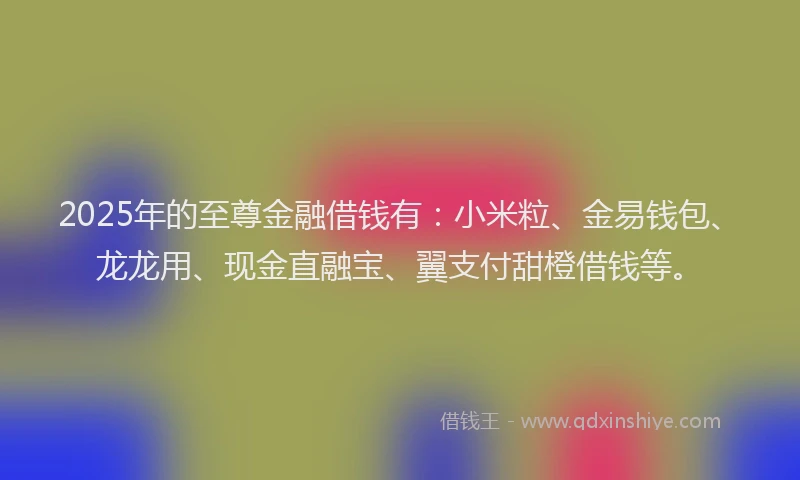 2025年的至尊金融借钱有：小米粒、金易钱包、龙龙用、现金直融宝、翼支付甜橙借钱等。