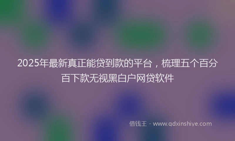 2025年最新真正能贷到款的平台，梳理五个百分百下款无视黑白户网贷软件