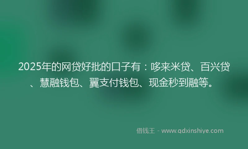 2025年的网贷好批的口子有：哆来米贷、百兴贷、慧融钱包、翼支付钱包、现金秒到融等。