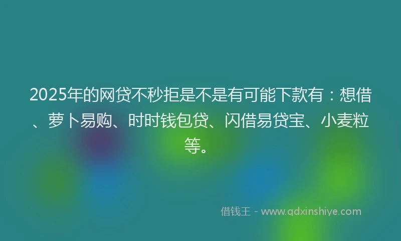 2025年的网贷不秒拒是不是有可能下款有：想借、萝卜易购、时时钱包贷、闪借易贷宝、小麦粒等。