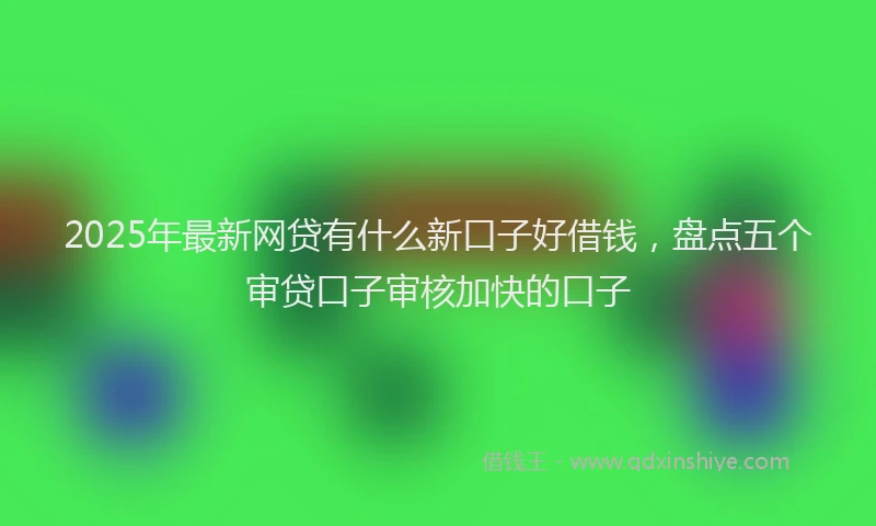 2025年最新网贷有什么新口子好借钱，盘点五个审贷口子审核加快的口子