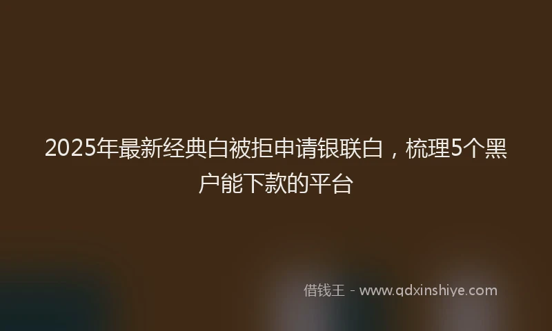 2025年最新经典白被拒申请银联白，梳理5个黑户能下款的平台
