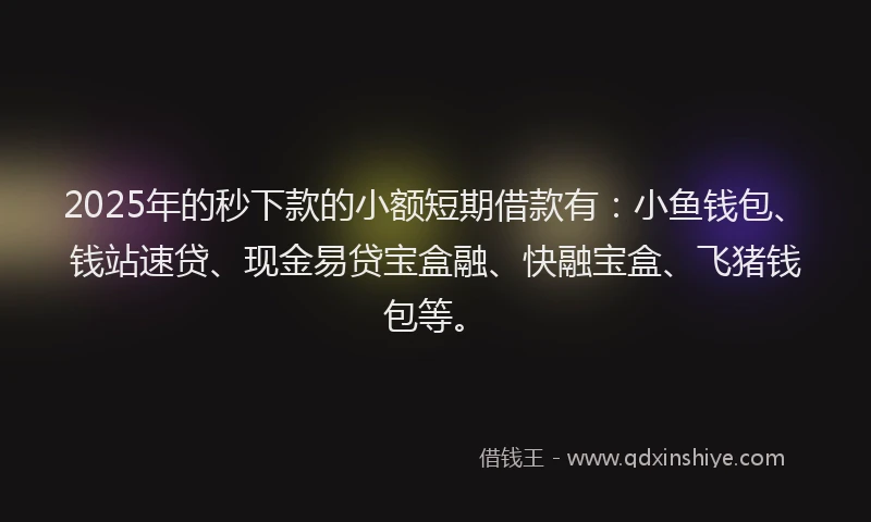 2025年的秒下款的小额短期借款有：小鱼钱包、钱站速贷、现金易贷宝盒融、快融宝盒、飞猪钱包等。