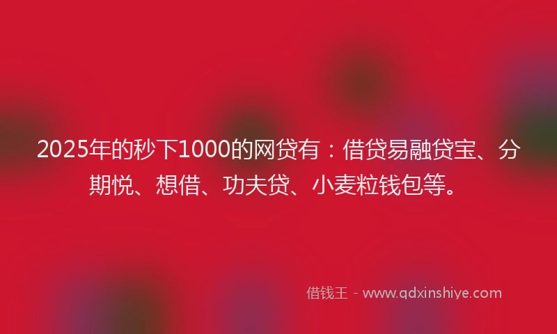 2025年的秒下1000的网贷有：借贷易融贷宝、分期悦、想借、功夫贷、小麦粒钱包等。