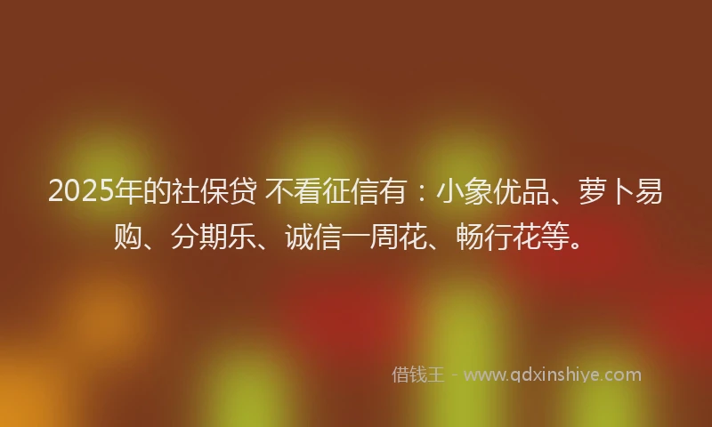 2025年的社保贷 不看征信有：小象优品、萝卜易购、分期乐、诚信一周花、畅行花等。