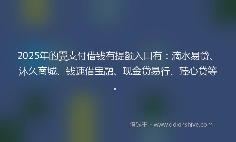 2025年的翼支付借钱有提额入口有：滴水易贷、沐久商城、钱速借宝融、现金贷易行、臻心贷等。