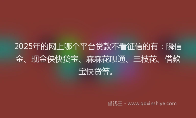 2025年的网上哪个平台贷款不看征信的有：瞬信金、现金侠快贷宝、森森花呗通、三枝花、借款宝快贷等。