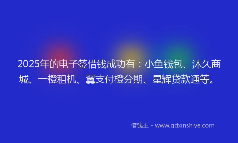 2025年的电子签借钱成功有：小鱼钱包、沐久商城、一橙租机、翼支付橙分期、星辉贷款通等。