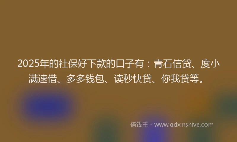 2025年的社保好下款的口子有：青石信贷、度小满速借、多多钱包、读秒快贷、你我贷等。