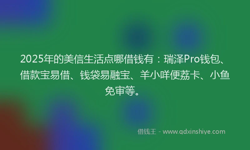 2025年的美信生活点哪借钱有：瑞泽Pro钱包、借款宝易借、钱袋易融宝、羊小咩便荔卡、小鱼免审等。