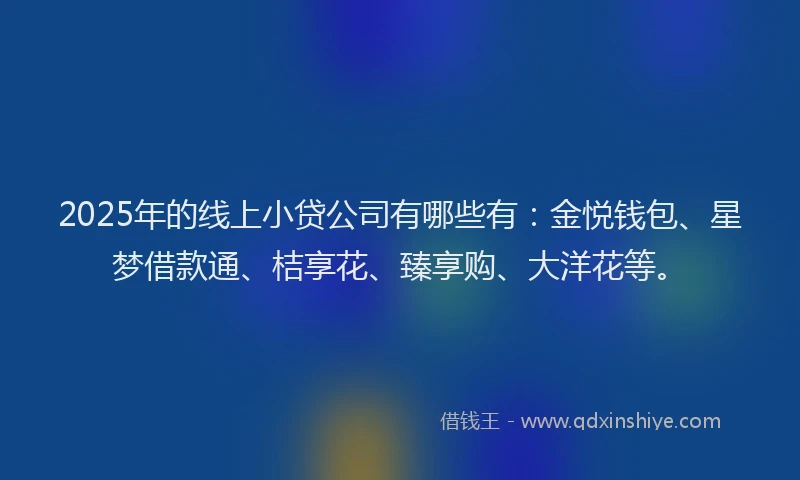 2025年的线上小贷公司有哪些有：金悦钱包、星梦借款通、桔享花、臻享购、大洋花等。