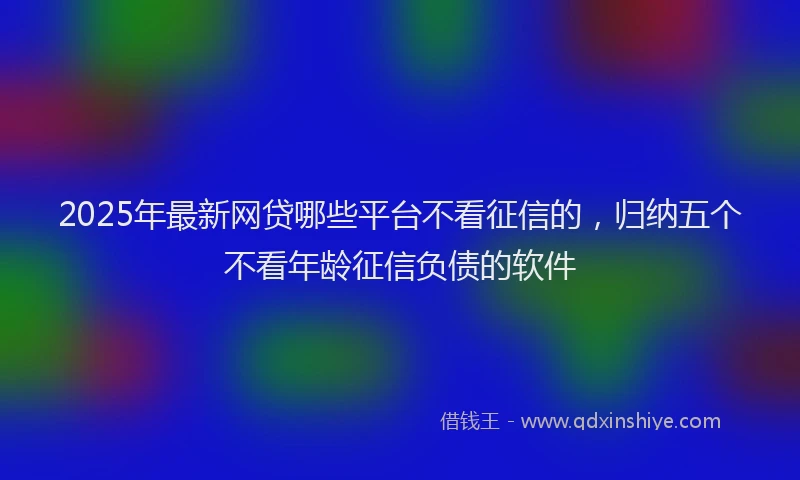 2025年最新网贷哪些平台不看征信的，归纳五个不看年龄征信负债的软件