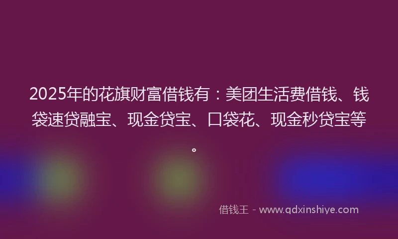 2025年的花旗财富借钱有：美团生活费借钱、钱袋速贷融宝、现金贷宝、口袋花、现金秒贷宝等。