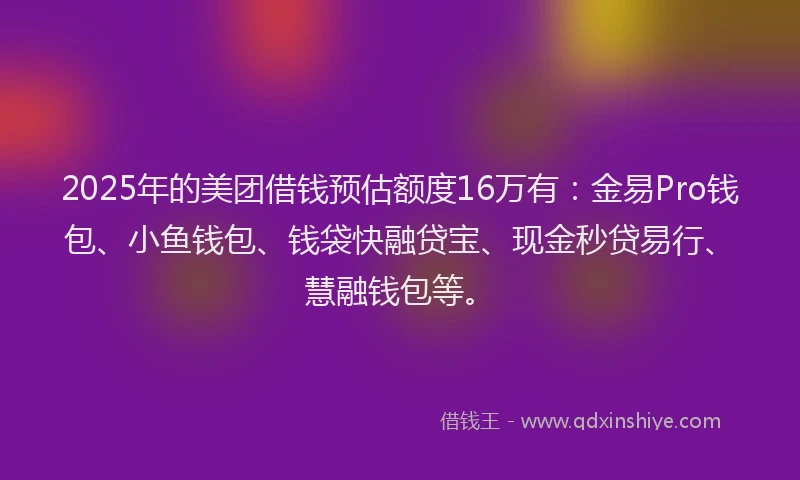 2025年的美团借钱预估额度16万有：金易Pro钱包、小鱼钱包、钱袋快融贷宝、现金秒贷易行、慧融钱包等。