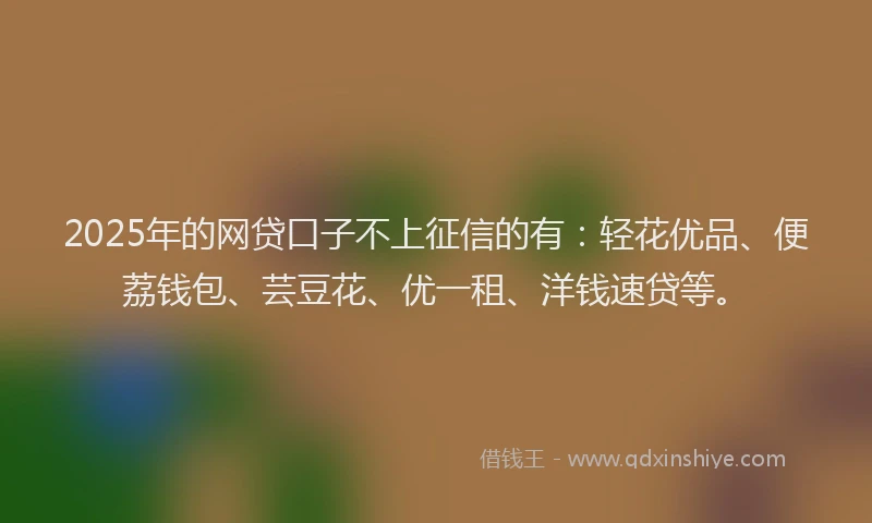 2025年的网贷口子不上征信的有：轻花优品、便荔钱包、芸豆花、优一租、洋钱速贷等。