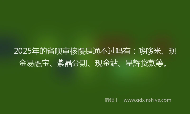 2025年的省呗审核慢是通不过吗有：哆哆米、现金易融宝、紫晶分期、现金站、星辉贷款等。