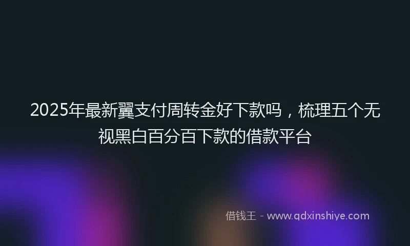 2025年最新翼支付周转金好下款吗，梳理五个无视黑白百分百下款的借款平台