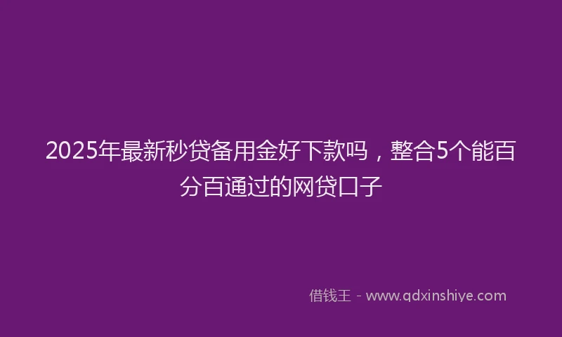 2025年最新秒贷备用金好下款吗，整合5个能百分百通过的网贷口子