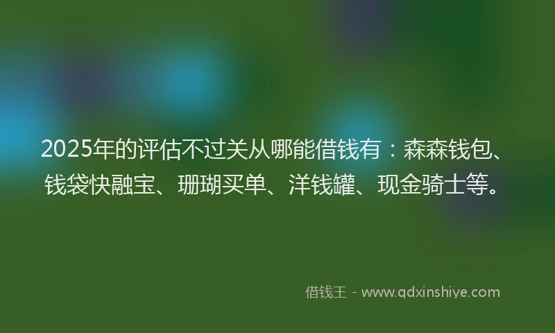 2025年的评估不过关从哪能借钱有：森森钱包、钱袋快融宝、珊瑚买单、洋钱罐、现金骑士等。