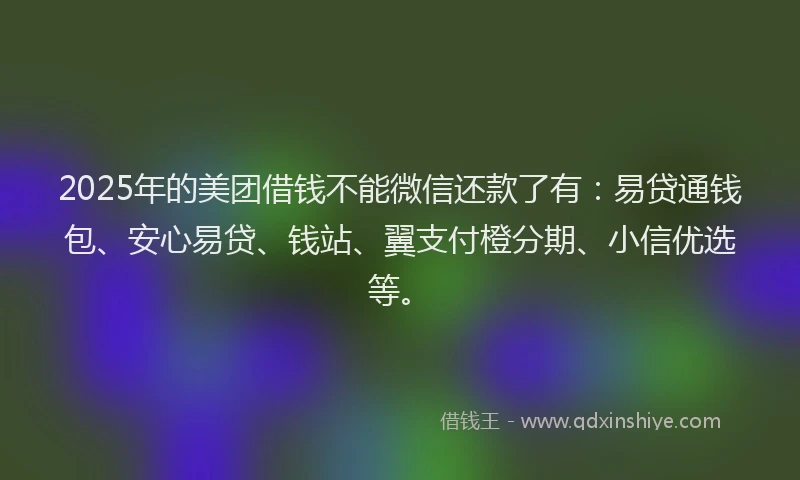 2025年的美团借钱不能微信还款了有：易贷通钱包、安心易贷、钱站、翼支付橙分期、小信优选等。