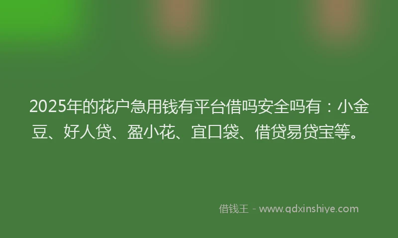 2025年的花户急用钱有平台借吗安全吗有：小金豆、好人贷、盈小花、宜口袋、借贷易贷宝等。
