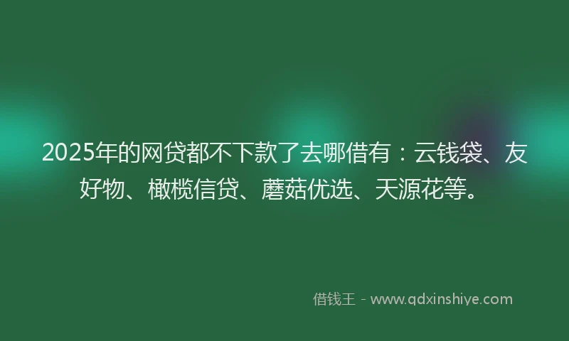 2025年的网贷都不下款了去哪借有：云钱袋、友好物、橄榄信贷、蘑菇优选、天源花等。
