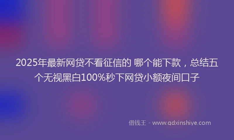 2025年最新网贷不看征信的 哪个能下款，总结五个无视黑白100%秒下网贷小额夜间口子